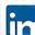 LinkedIn Icon